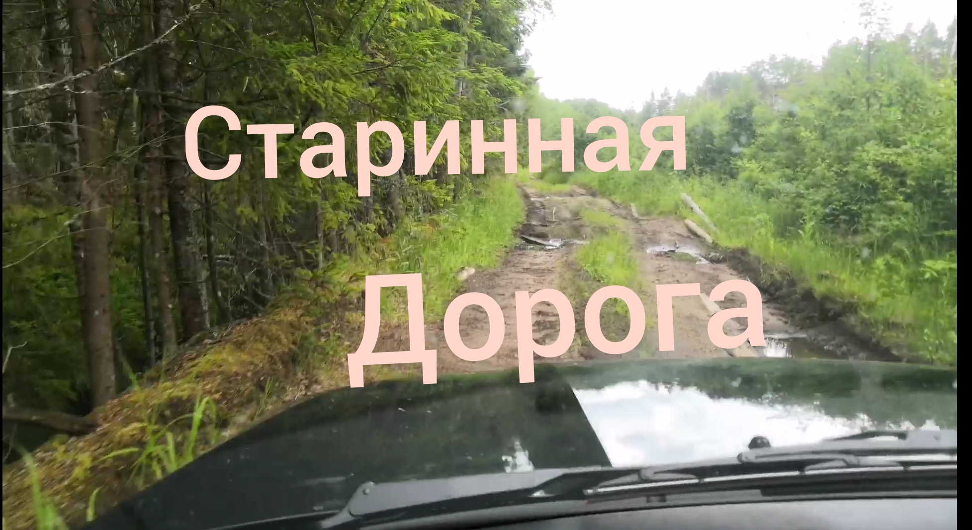 Порховская дорога /Екатерининский тракт смотреть онлайн