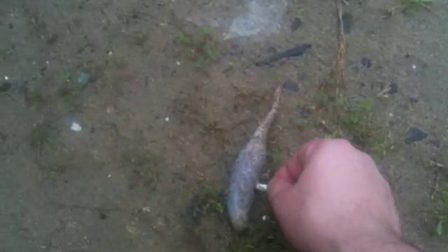 IMG 02481 смотреть онлайн