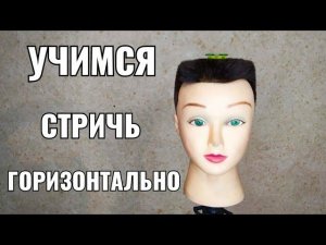 Учимся стричь  горизонтально
тренировка