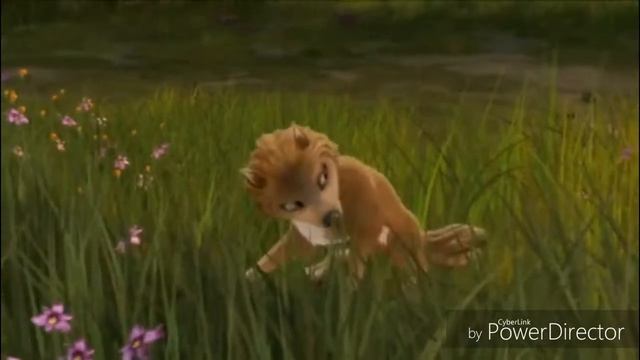 Клип Альфа и Омега часть 1 Кейт стала Альфа самкой.