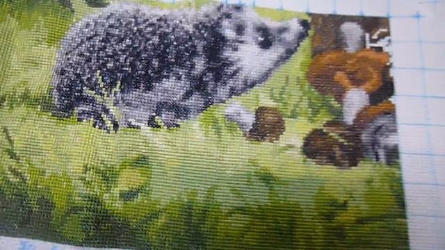 вышивка крестом: СП "В мире животных" "Ёжик" от Золотое Руно - отчёт № 3 смотреть онлайн