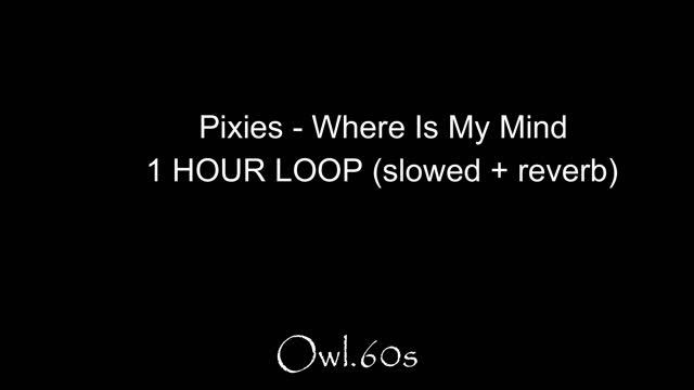 Pixies Where Is My Mind 1 HOUR LOOP slowed + reverb смотреть онлайн