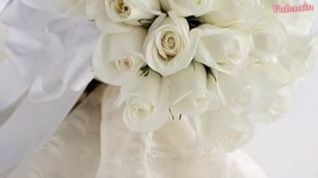 My white rose смотреть онлайн