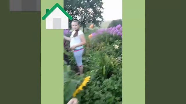 Моя Дача))))) смотреть онлайн