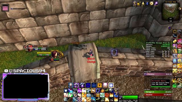 Old Hillsbrad Foothills Paladin Boosting 66-70 | TBC Classic смотреть онлайн