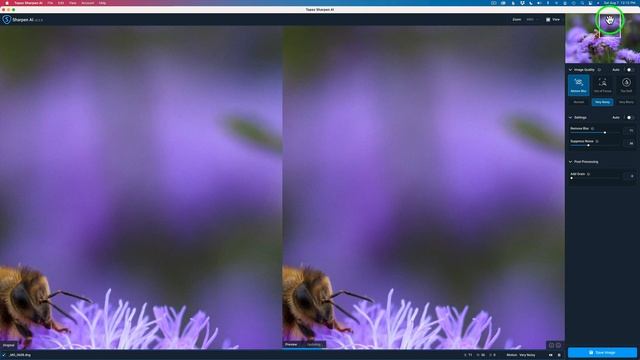 TOPAZ SHARPEN AI: Working With RAW FILES (New UpDate Version 3.2) смотреть онлайн