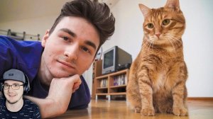 ЧТО МЫ ДЕЛАЕМ ЗА ДЕНЬ? ► БРАЙН МАПС ( TheBrianMaps ) | Реакция