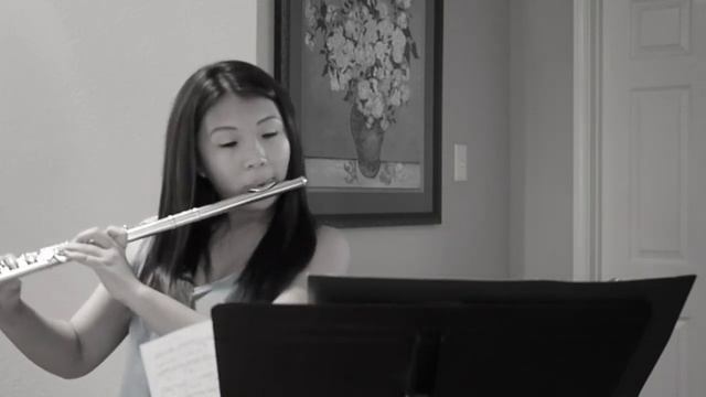 Three Beats for Beatbox Flute Movement III by Greg Pattillo.mp4 смотреть онлайн