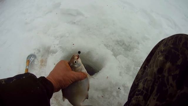 Попал на точку! Ловля леща в глухозимье. смотреть онлайн