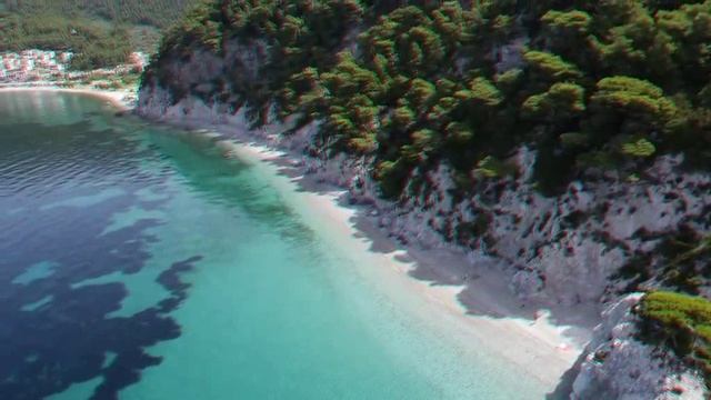 дрессировка 1