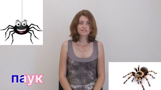 Урок жестового языка. Тема: "ЖИВОТНЫЙ МИР" 4. от "Н" до "Р". смотреть онлайн