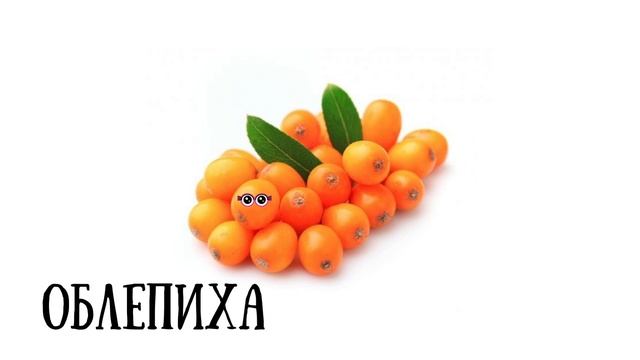 АЛФАВИТ - ФРУКТЫ и ЯГОДЫ смотреть онлайн