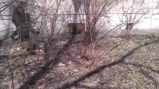 Спасение кошки 2 часть:) смотреть онлайн
