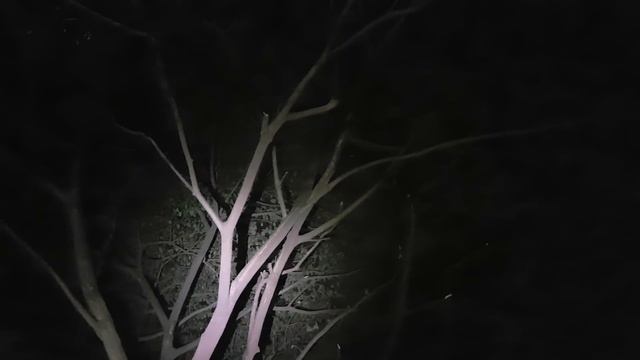 Lampu Depan Sepeda Moon Meteor Terang Sekali Gan... ⭐⭐⭐⭐⭐ смотреть онлайн
