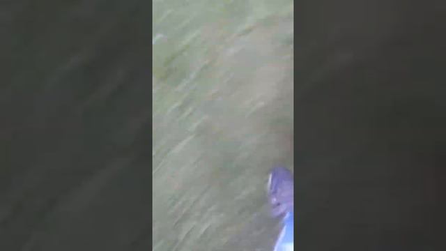 Мы на даче играем в футбол