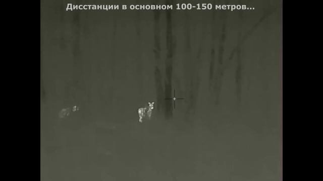 ОХОТА с ТЕПЛОВИЗОРОМ || iRay Saim SCT 35 смотреть онлайн