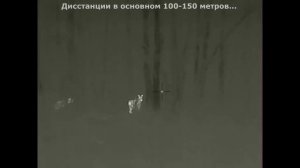 ОХОТА с ТЕПЛОВИЗОРОМ ||  iRay Saim SCT 35