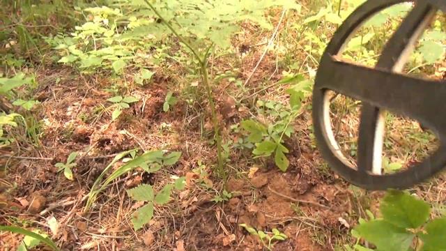 Монетный поиск в лесу, находки не заставили себя долго ждать. смотреть онлайн