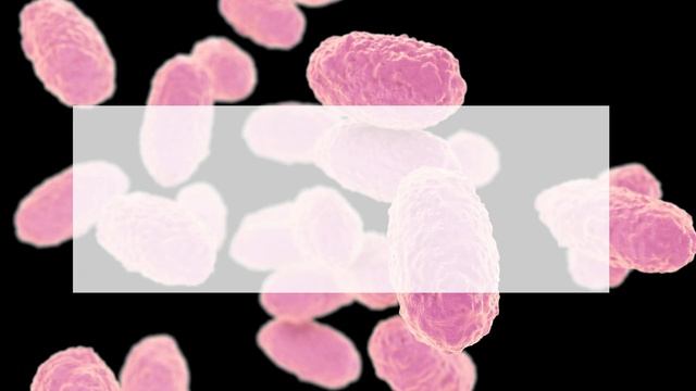 A More Confident Diagnosis: AI Detection for Breast Lymph Node Metastases| Pathology Hub смотреть онлайн