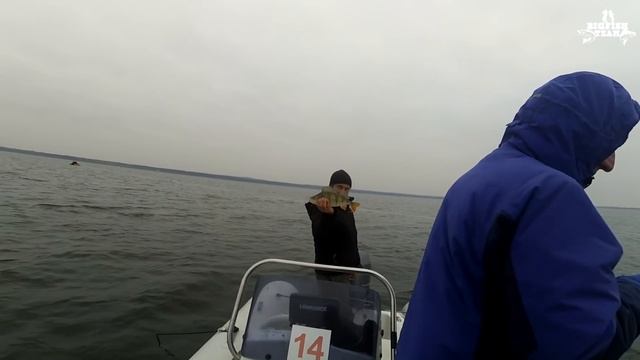 Цвет настроения - белый! Судак и окунь в заливе. Рыбалка с гидом в Калининграде. смотреть онлайн