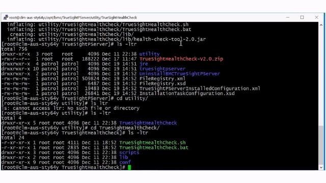BMC TSOM: Health Check Tool - Cómo interpretar los resultados de la herramienta Health Check смотреть онлайн