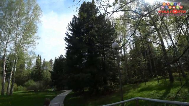 Пруд с утками в Академгородке в Новосибирске - Куда сходить смотреть онлайн