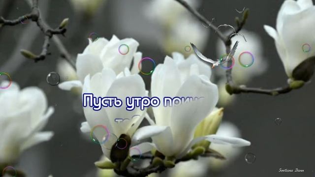 С добрым утром ? Счастливый твой хочу я видеть смех ?Музыкальная видео открытка смотреть онлайн