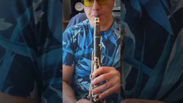 Hotel California #eagles #saxophone #hotelcalifornia