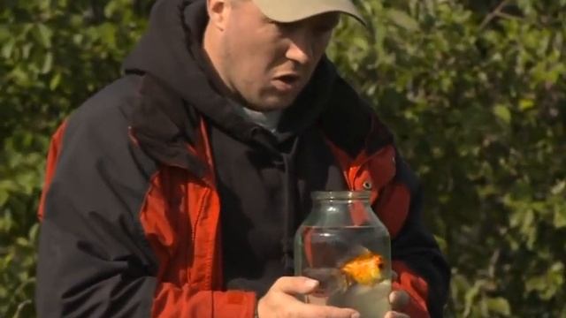 На рыбалке — Комедийное скетч-шоу «Анекдоты» (15 Сюжетов) — Рыбацкий юмор смотреть онлайн