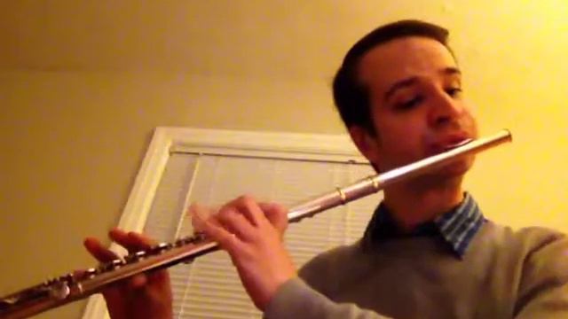 Excerpt from Turkish March (Beethoven) - Flute Day 76 смотреть онлайн