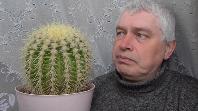 Сегодня 30 апреля 2023 год. Я видео снимаю про большой кактус смотреть онлайн