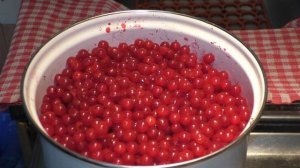 приготовление желе из калины в домашних условиях