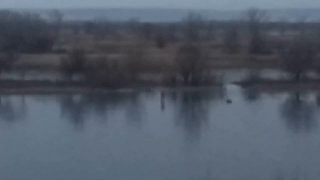 Поиск утонувшего в протоке напротив энгельсского парка