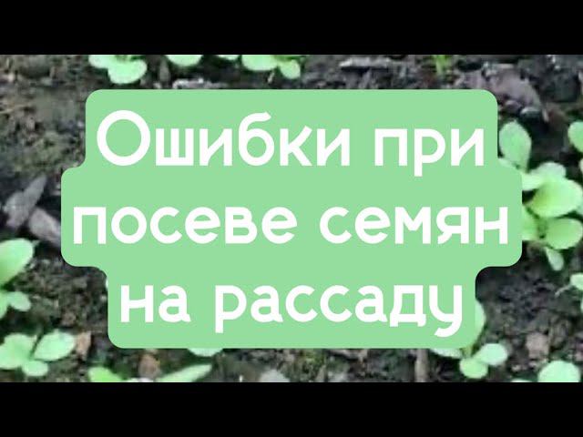 Ошибки при посеве семян на рассаду. смотреть онлайн