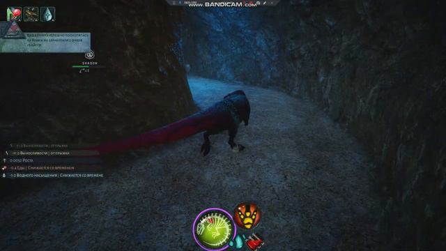 Виехи|Beast Of Bermuda|