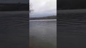 Лодка хантер 320лк и мотор ямаха 5 л.с