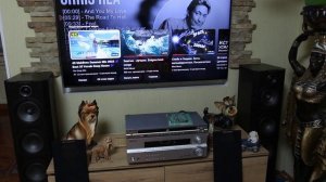 SUPER AUDIO Wharfedale vardus vr 400& Pioneer vsx415