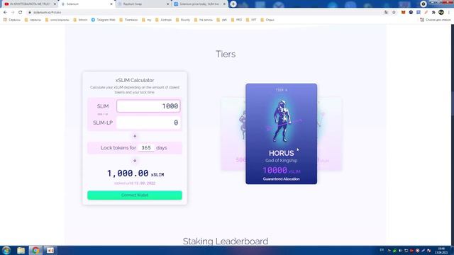 SOLANIUM - IDO Платформа для блокчейна Solana / Инвестируйте / Token SLIM / Crypto / Defi / SOL