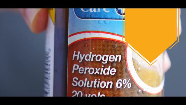 BURRAGEARA NELLY ISLER ORCHID WITH BROWN TIPS ON THE LEAVES смотреть онлайн