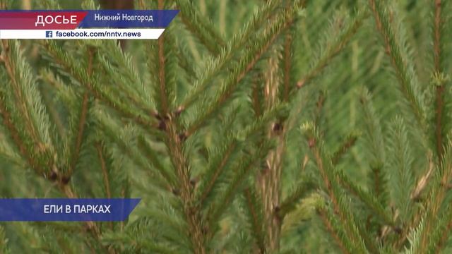 Новогодние ели и иллюминацию начали монтировать в нижегородских парках смотреть онлайн