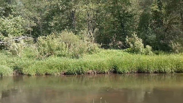 ПЛЯЖ НА РЕКЕ РУЗА В НОВЛЯНСКОМ смотреть онлайн