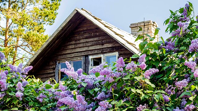 Любэ - "Позови меня тихо по имени" смотреть онлайн