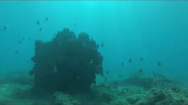 Могут ли океаны Земли закипеть? смотреть онлайн