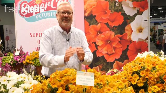 SuperCal Provides Three-Season Color and Vigor смотреть онлайн
