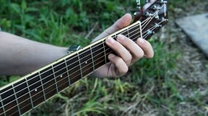 КИШ - ЛЕСНИК на ГИТАРЕ | FINGERSTYLE + TAB