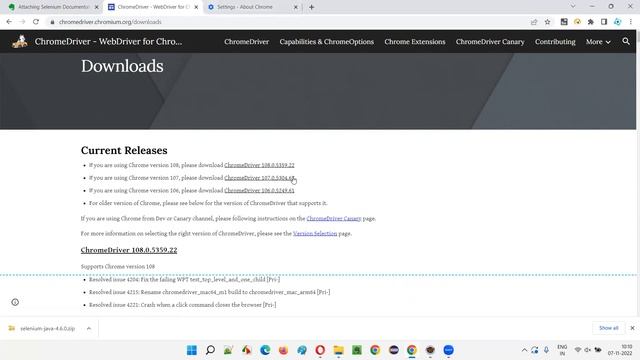 Attaching Selenium Documentation to Project смотреть онлайн