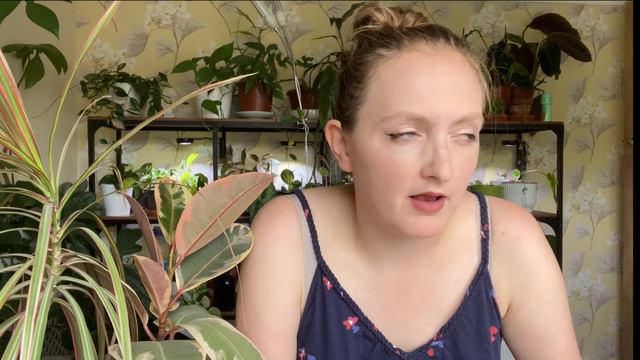 10 Tips For Caring For a Lot of Plants смотреть онлайн