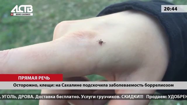 17.05.2023 На Сахалине подскочила заболеваемость боррелиозом смотреть онлайн