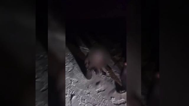 Поймали Краснодарских спортиков смотреть онлайн