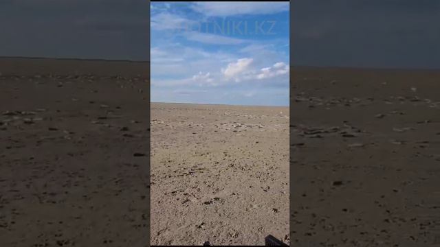 ГИБЕЛЬ РЫБЫ. Каспийское море, Атырауская область. Вода ушла, а рыба осталась. смотреть онлайн